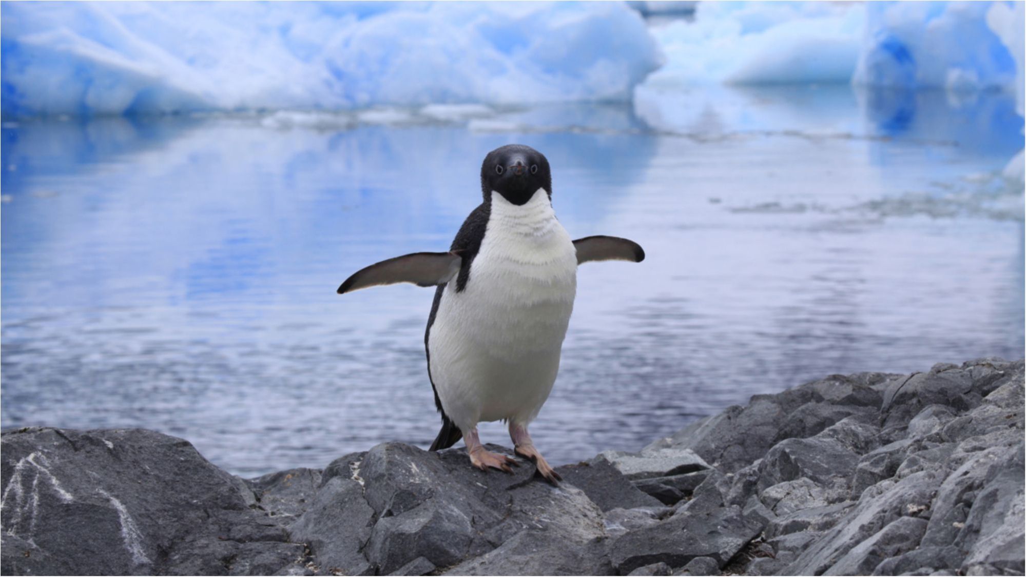 Причина її появи так і залишилася невивченою - фото 1