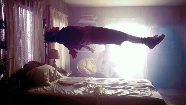 Названо головні особливості сновид - фото 205052