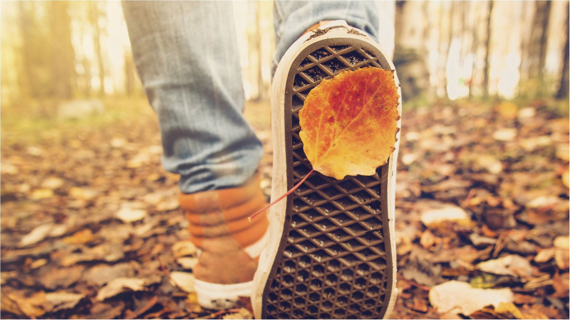 ТОП-10 місць світу, які треба відвідати в жовтні