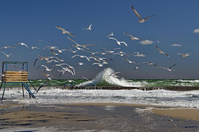 Шторм атакував Одесу: вражаючі кадри - фото 199467