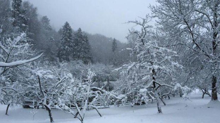 В Україні випав перший сніг