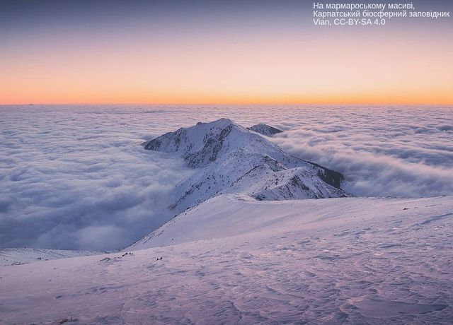 Вікі любить Землю 2017: неймовірні фото, зроблені в Україні - фото 204561