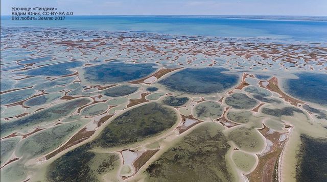 Вікі любить Землю 2017: неймовірні фото, зроблені в Україні - фото 204556