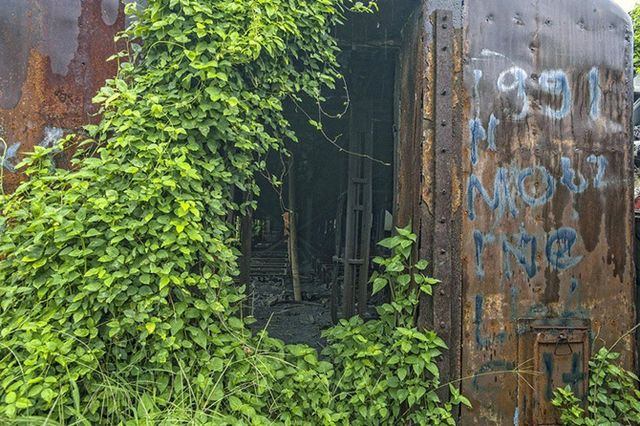 Як виглядає кладовище електричок в Індонезії - фото 203906