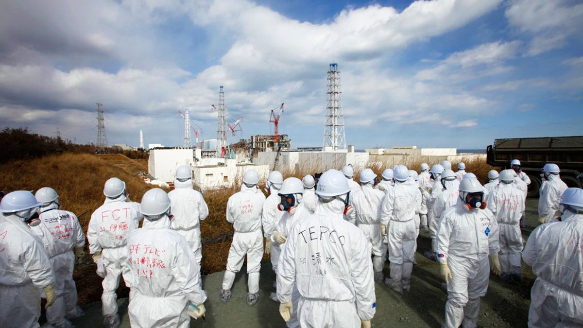 Науковці виявили новий осередок радіації в Фукусімі - фото 1