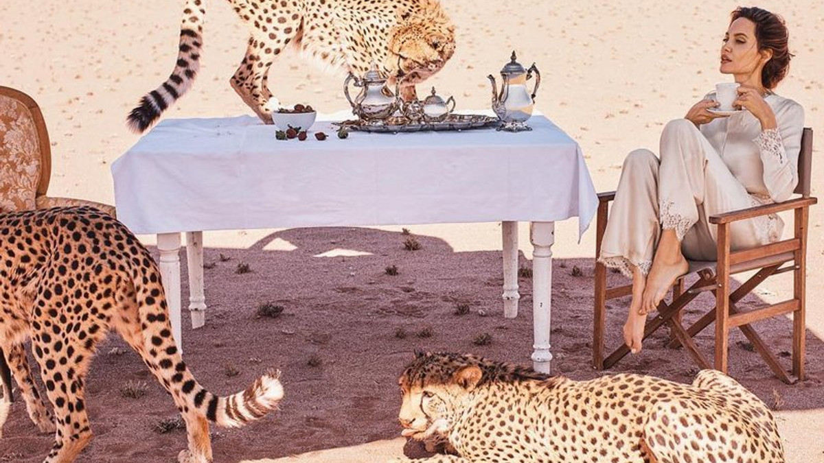 Анджеліна Джолі знялася в розкішній фотосесії з гепардами - фото 1