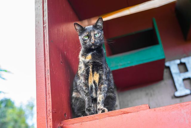 Американець показав, як виглядає рай на Землі: чарівні фото - фото 204746