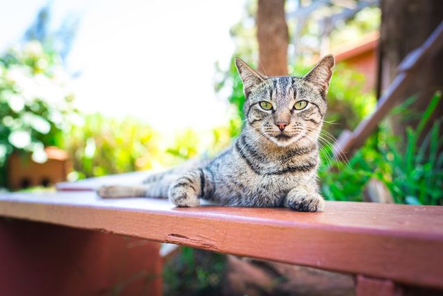 Американець показав, як виглядає рай на Землі: чарівні фото - фото 204743