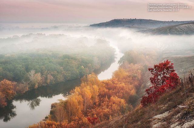 Вікі любить Землю 2017: неймовірні фото, зроблені в Україні - фото 204564