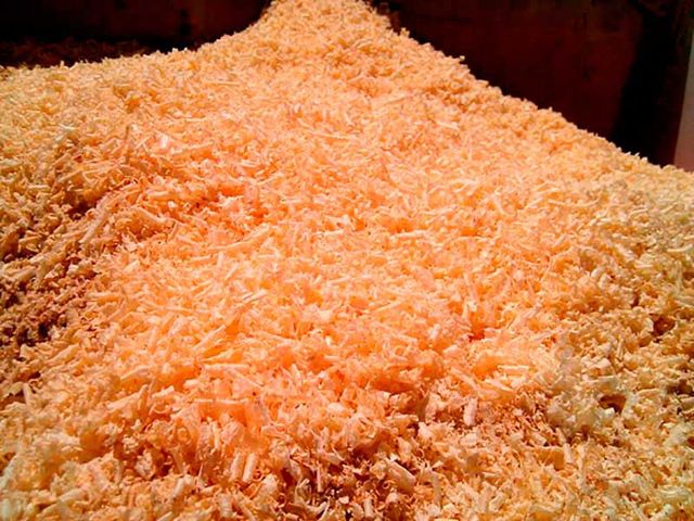 Овва! Знайдено нове унікальне джерело їжі - фото 201044