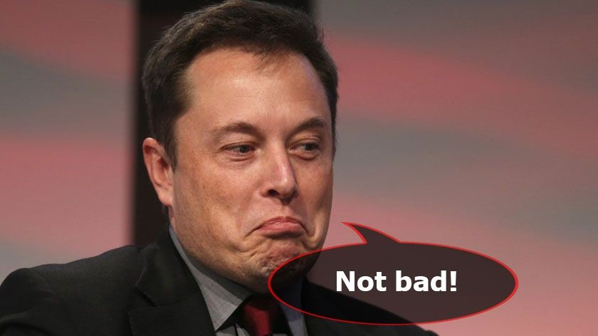 Ілон Маск зустрічається із зіркою "50 відтінків сірого"