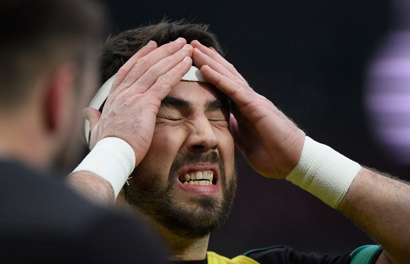 Регбіст пропустив гру через укус лева і тепер заплатить штраф