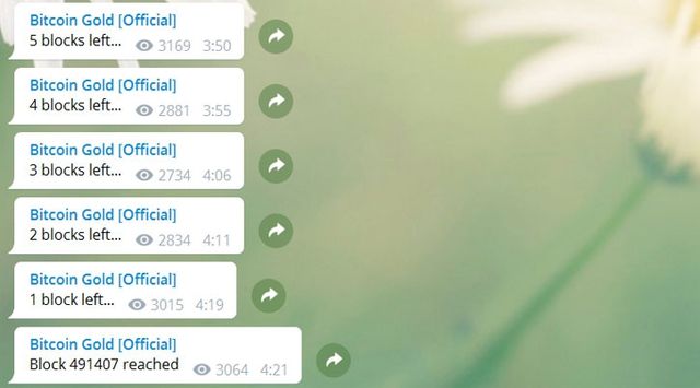 Черговий поділ біткойна: з'явилася нова криптовалюта Bitcoin Gold - фото 204497