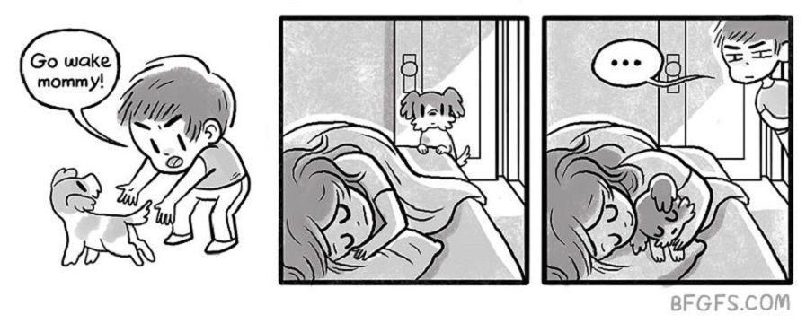 Дівчина показала реалії життя з хлопцем та собакою: кумедні комікси