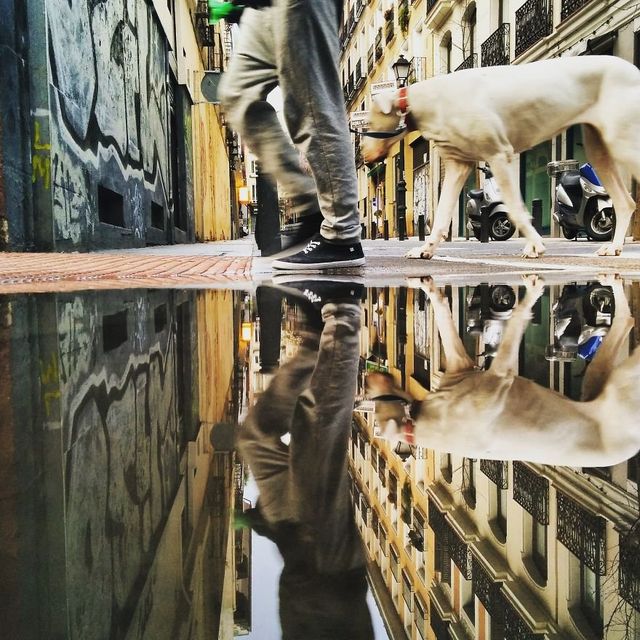 Іспанець без професійної камери робить неймовірні фото - фото 199802