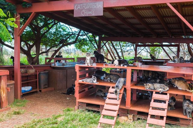 Американець показав, як виглядає рай на Землі: чарівні фото - фото 204755