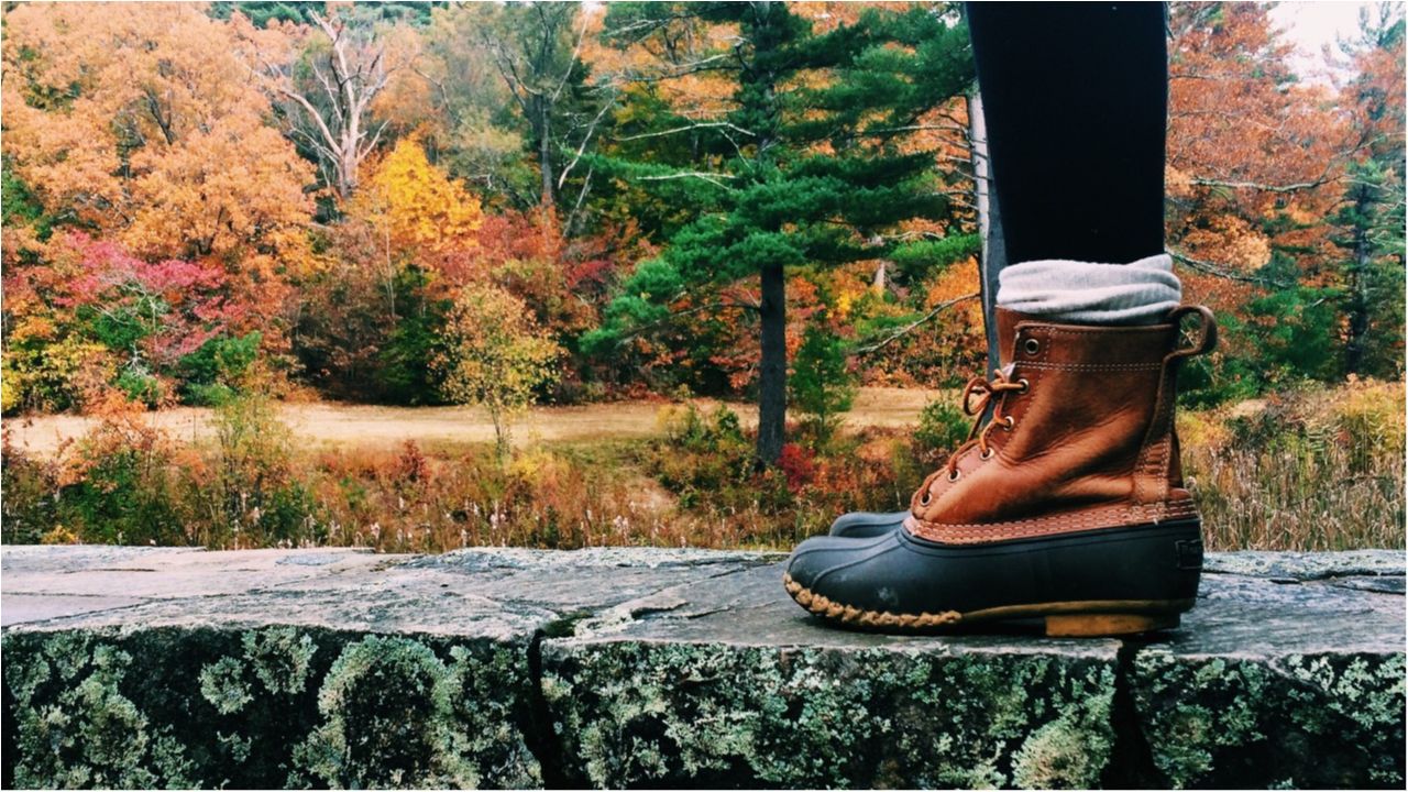 Синоптики попередили українців про страшну стихію