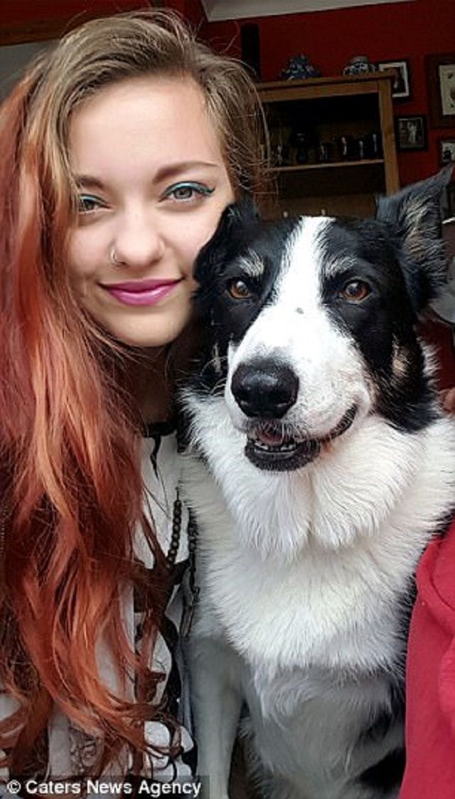 Це пес здатен балансувати з будь-чим на голові: кумедні фото