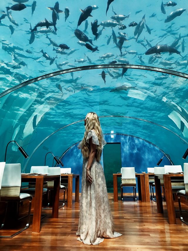 На Мальдівах пропонують наймати Instagram-консультанта - фото 202823