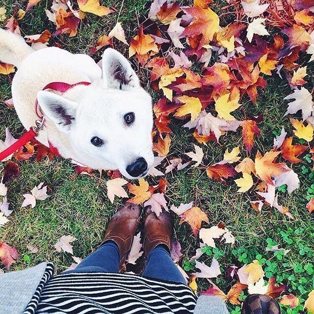 Українців попередили про заморозки