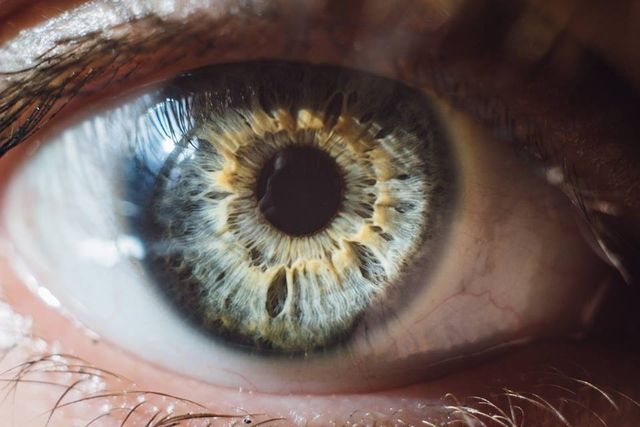 Як виглядають найкрасивіші очі - фото 209120