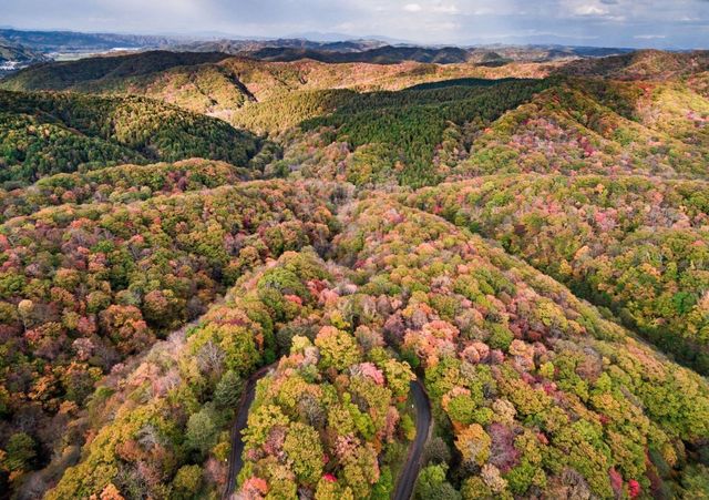 Перехоплює дух! National Geographic показав найкращі фото природи за 2017 рік - фото 207360