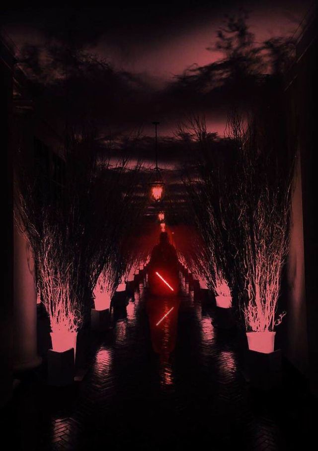 Як у фільмі жахів: прикрашений Білий Дім перетворився у мем - фото 212054