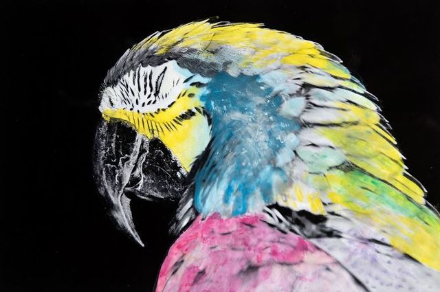 Як виглядає життя на острові людей-дальтоніків: вражаючі фото - фото 208728