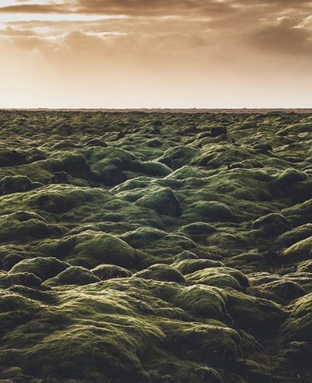 17-річний фотограф підкорив світ своїми пейзажами - фото 209234