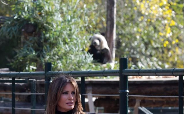 Панда зіпсувала фото Меланії Трамп, але вона не проти - фото 208336