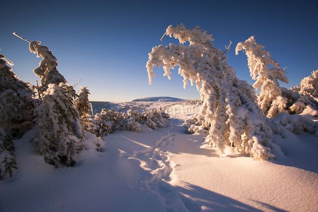 Як виглядає зима у горах Польщі: казкові фото - фото 211597