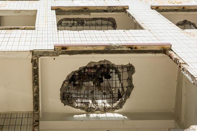 Міські джунглі поглинули село- фото 211715