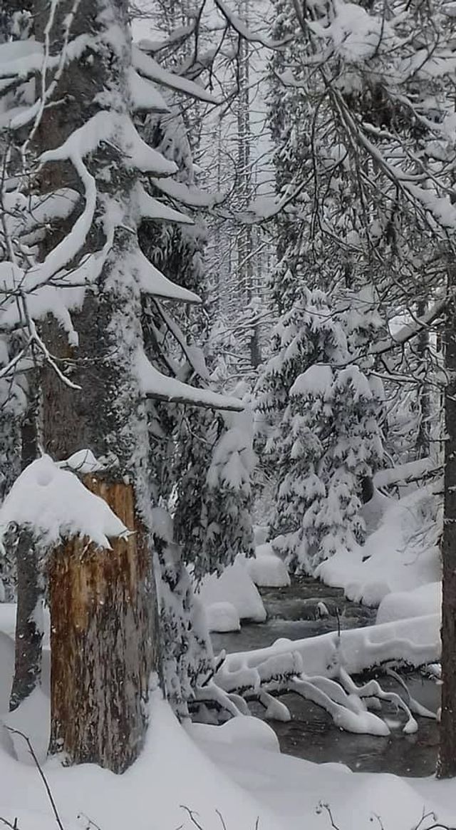 Свято наближається: як виглядають Татри у снігу - фото 206877