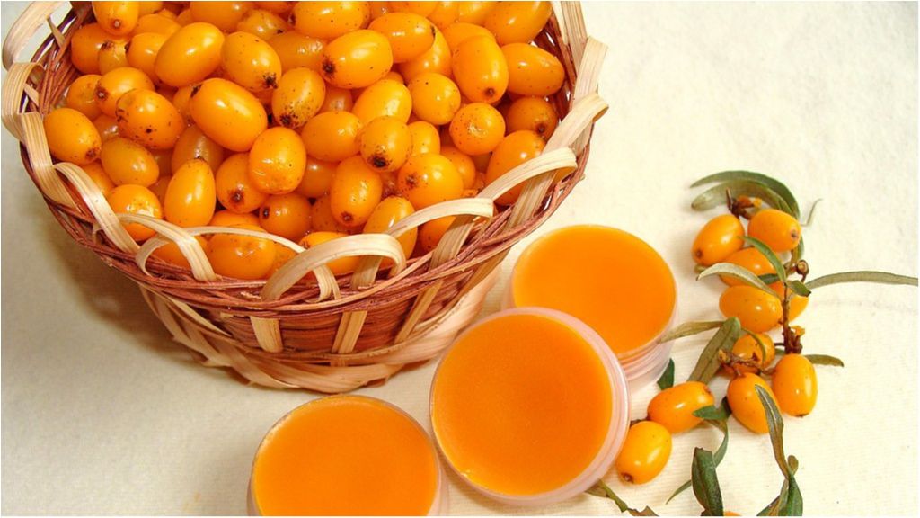 Названо корисні властивості олії обліпихи