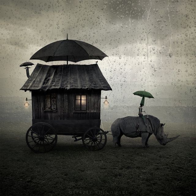 На межі з реальністю: світ в об'єктиві польського фотографа - фото 210433