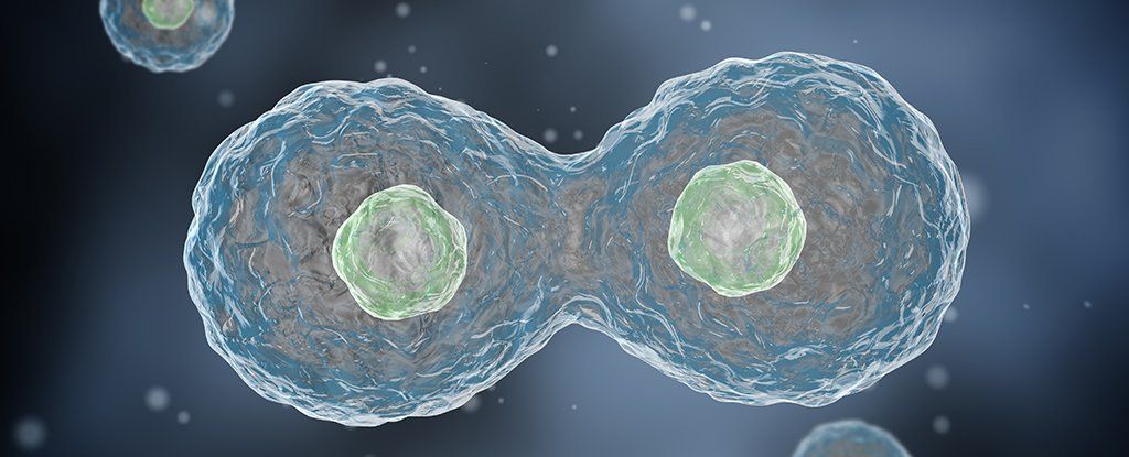 Вчені знайшли незвичайний спосіб лікування раку