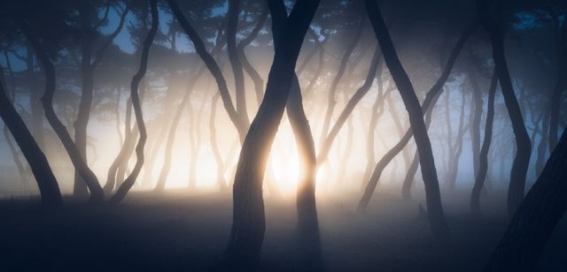 Зачаровує: обрано найкращі панорамні фото року - фото 209380