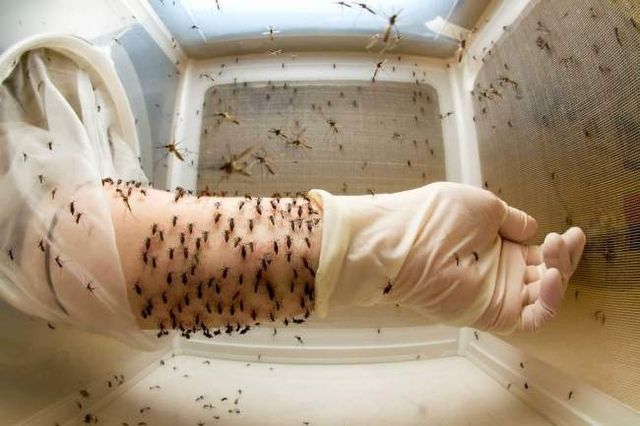 Так виглядають найжахливіші професії у світі - фото 209200