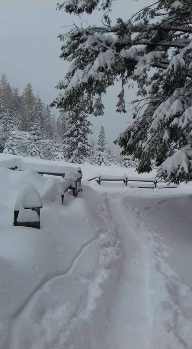 Свято наближається: як виглядають Татри у снігу - фото 206878