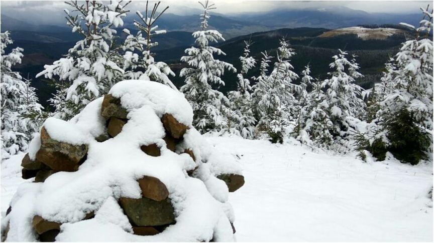 Справжня зима! З'явилися фото, як Карпати засипало метровим шаром снігу