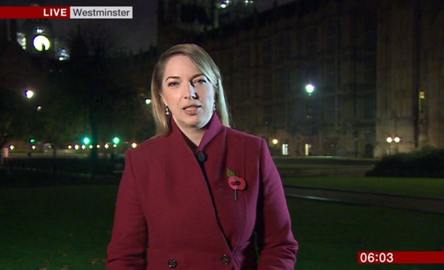 У прямому ефірі BBC лунали сексуальні стогони: відео курйозу