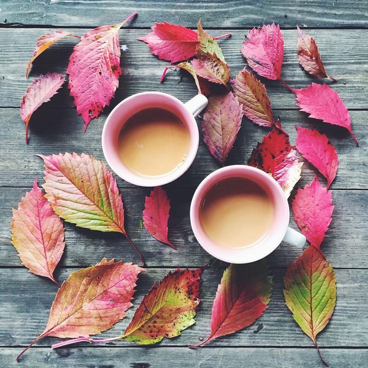 У ДСНС попередили про різке погіршення погоди