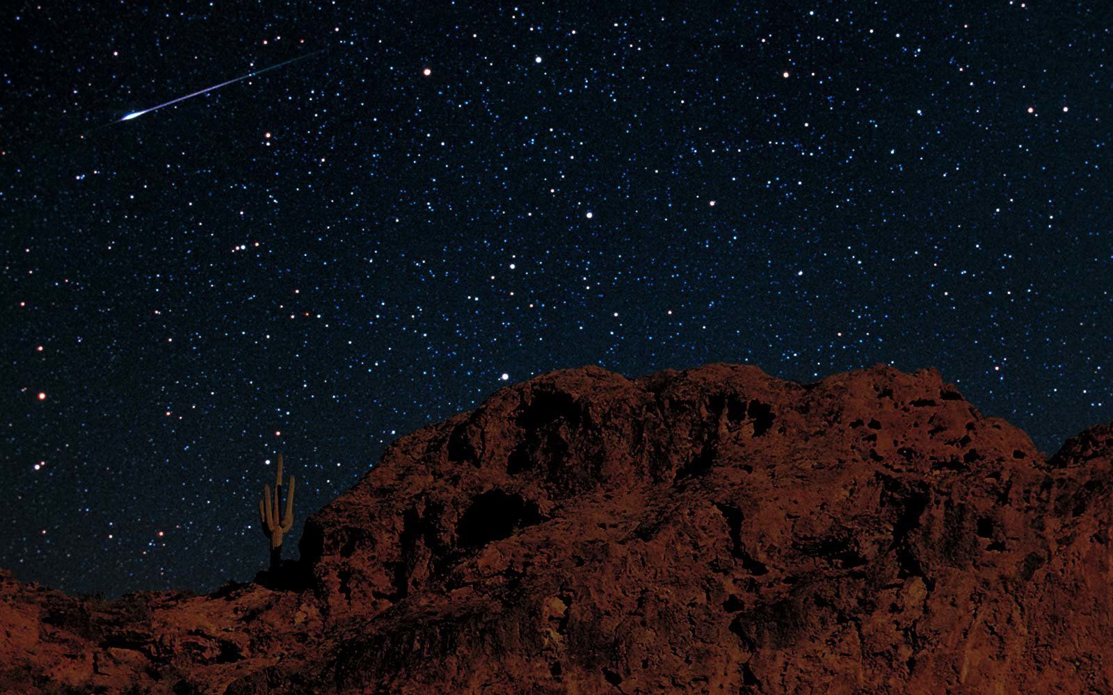 Леоніда - фото 1