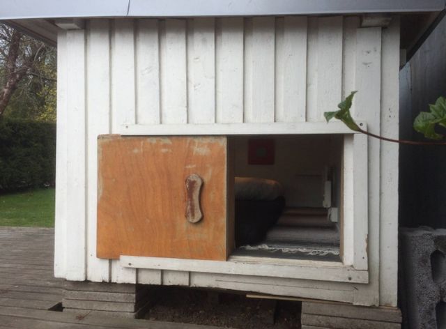 Як виглядає маленький готель в собачій будці - фото 206077