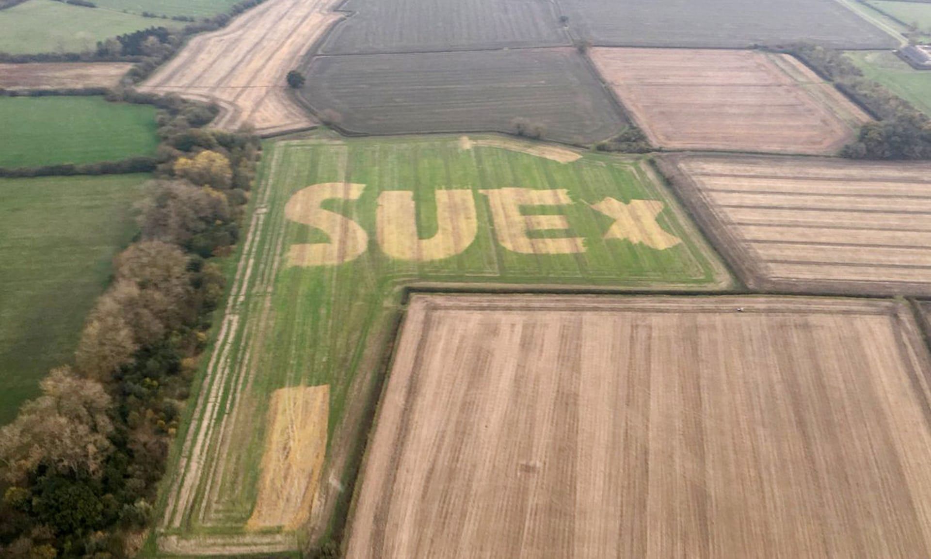 Знімок романтичного повідомлення фермера став хітом мережі