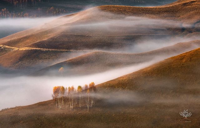 Містичні фото Трансільванії, від яких перехоплює дух - фото 206285