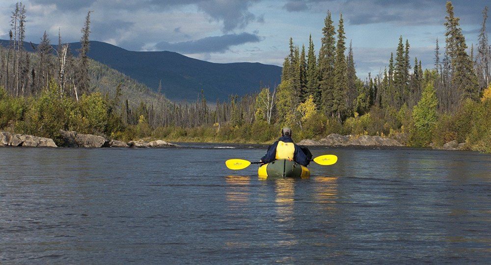 На пляжі Аляски рибалка виявив загадкову істоту: фотофакт