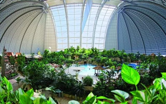 Цей величезний ангар приховує справжній тропічний рай - фото 207234