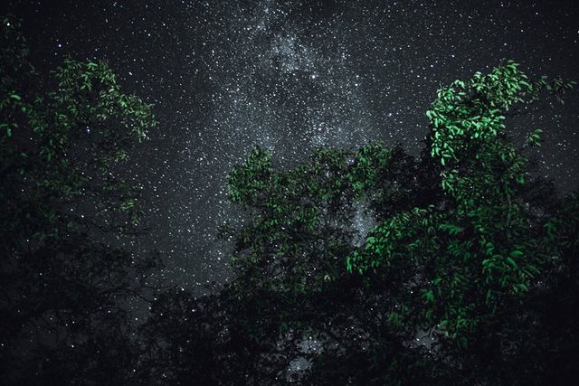 Трішки космосу: фотограф показує всю красу очей - фото 207428