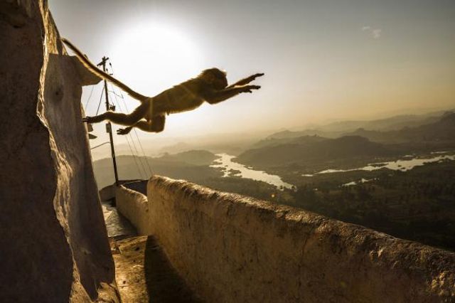Перехоплює дух! National Geographic показав найкращі фото природи за 2017 рік - фото 207372